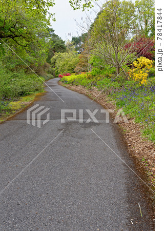 Spring in the grounds of Exbury gardens 78417844