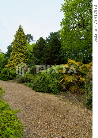 Spring in the grounds of Exbury gardens Spring in the grounds of Exbury gardens 78417933