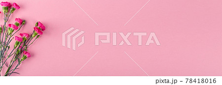 Fresh Carnation Flower Bouquet Dianthus or Schabaud 78418016