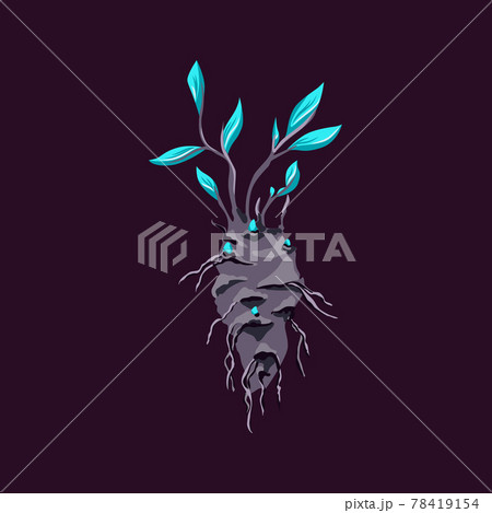 Magic plant as Mandrake root or Mandragora, flat vector illustration isolated. Magic plant as Mandrake root or Mandragora, flat vector illustration isolated. 78419154