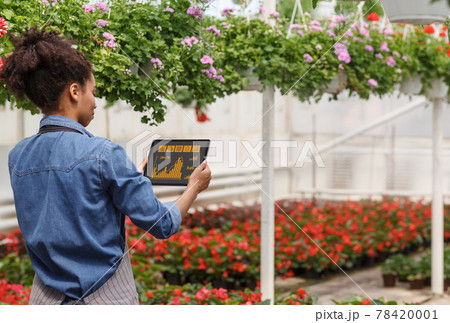 Black woman holding tablet while working in greenhouse with flowers Black woman holding tablet while working in greenhouse with flowers 78420001