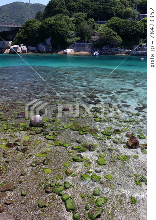 柏島　初夏の海　石に苔　（高知県　大月町） 78420352