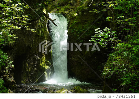 竜返しの滝 78421561