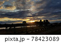 朝日 78423089