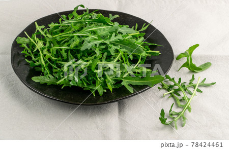 Arugula, Arugula, Ruccola Leaves, Rucola, Eruca or Roquette Salad 78424461