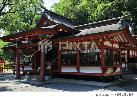 蒲生八幡神社 蒲生八幡神社 78428564