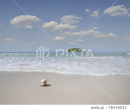tropic in tropic in 78429033