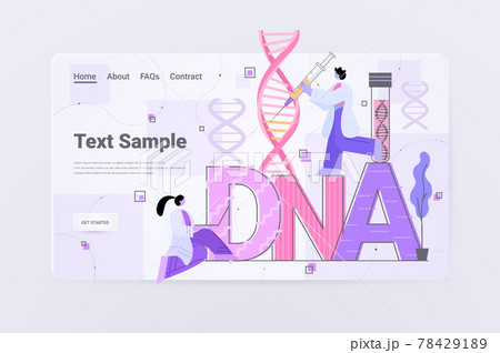scientists team working with DNA researchers making experiment in lab DNA testing genetic engineering concept 78429189