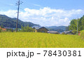 一面に広がる黄緑色の田んぼと空の風景 78430381