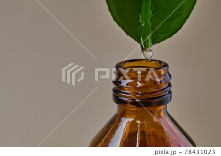 essential oil dripping from leaf into glass bottle isolated on beige essential oil dripping from leaf into glass bottle isolated on beige 78431023