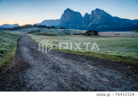 Road and Sunrise in Italian Dolomiti Alps. Seiser Alm or Alpe di Siusi location, Bolzano province, South Tyrol, Italy, Europe 78431528