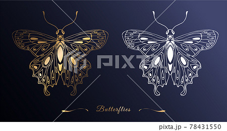 Gold and white silhouette of a butterfly in line art style on a dark background. Openwork shiny pattern of wings. Vector illustration. Fashionable style. 78431550