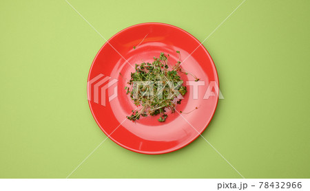 green sprouts of chia, arugula and mustard in a red round plate, top view. A healthy food green sprouts of chia, arugula and mustard in a red round plate, top view. A healthy food 78432966