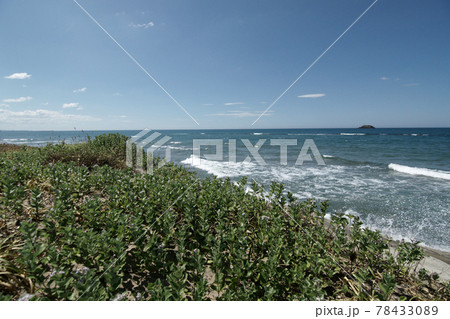 鳥取 四季の散歩 夏 砂丘岩戸 鳥取 四季の散歩 夏 砂丘岩戸 78433089