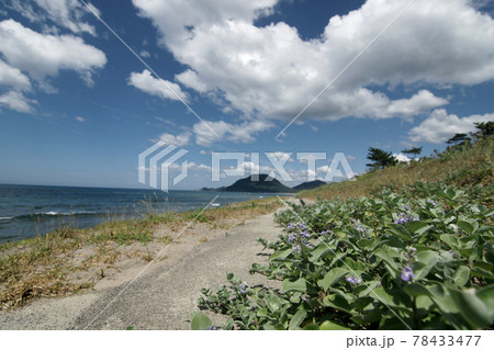 鳥取 四季の散歩 夏 砂丘岩戸 鳥取 四季の散歩 夏 砂丘岩戸 78433477