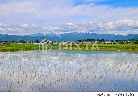 水田と飯豊山（福島県・喜多方市） 78434668