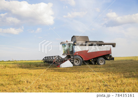 old combine harvester harvests from the field old combine harvester harvests from the field 78435161