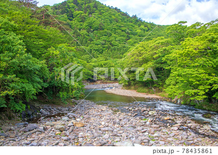春　塩原渓谷　向福橋から箒川の景色　　　　　 78435861