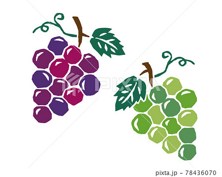 葡萄 レトロなかわいいイラスト 葡萄 レトロなかわいいイラスト 78436070