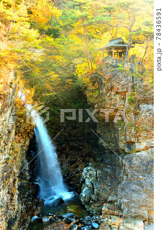 滝と五龍王神社（龍王峡）栃木県日光市 78436591