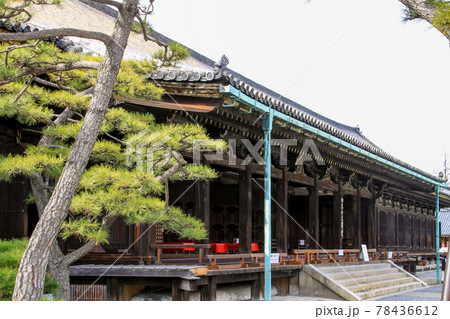 三十三間堂 78436612