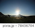 ふもとっぱらキャンプ場の富士山の日の出 78436704