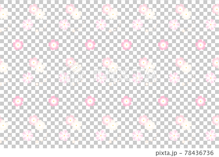 Verbena Verbena 78436736