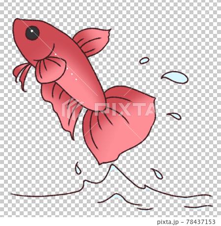 飛び出すベタ（赤色） 78437153