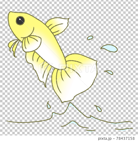 彈出的固體（黃色） 78437158