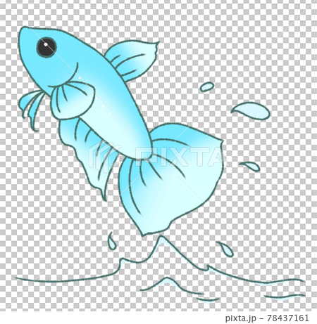 飛び出すベタ（水色） 78437161