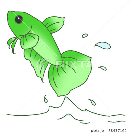 飛び出すベタ（緑色） 78437162