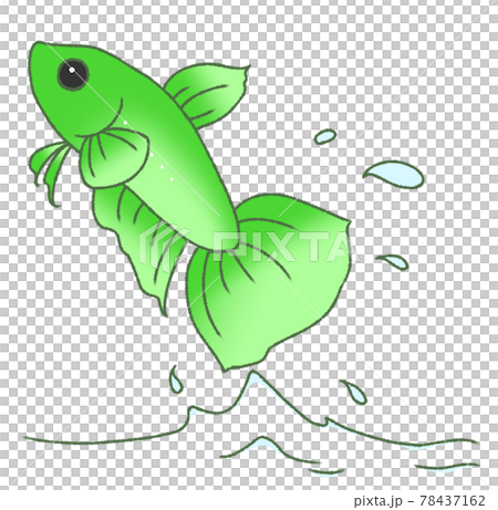 飛び出すベタ（緑色） 78437162