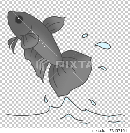 飛び出すベタ（黒色） 78437164