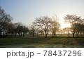 伊吹山が見える靄がかったキャンプの朝 78437296
