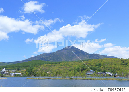 5月の白樺湖と蓼科山 78437642