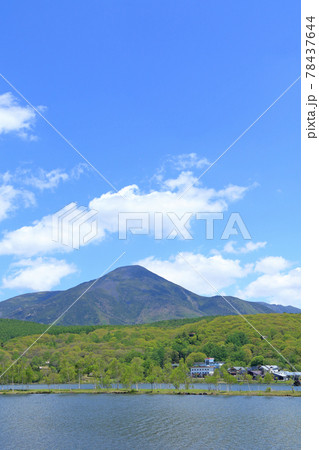 5月の白樺湖と蓼科山 78437644