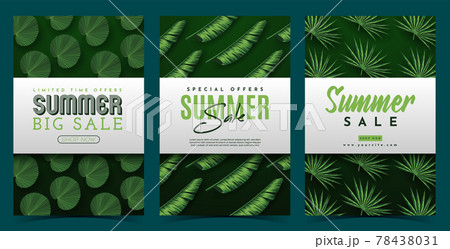 Summer Sale Banner With Tropical Leaves Background. Vector Illustration 78438031