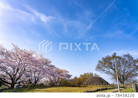 鳥取県米子市　春の伯耆古代の丘公園の帆立貝式古墳 78438220