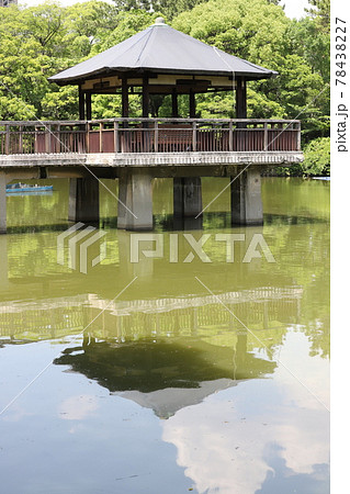 鶴舞公園　竜ヶ池　浮見堂 78438227