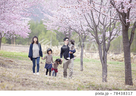 桜の下を歩く家族 桜の下を歩く家族 78438317
