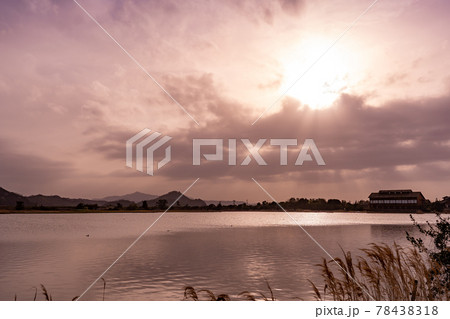 鳥取県米子市 春の米子水鳥公園の夕景 鳥取県米子市 春の米子水鳥公園の夕景 78438318
