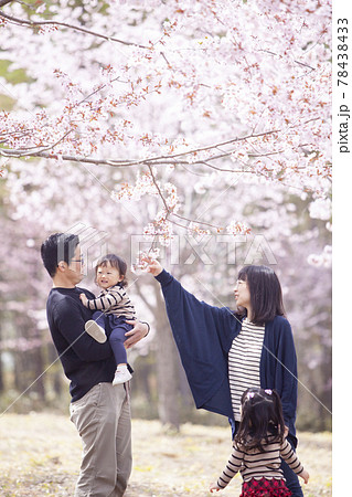 桜の下で遊ぶ家族 78438433