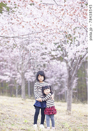 桜の木下で遊ぶ姉妹 桜の木下で遊ぶ姉妹 78438545