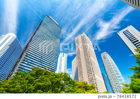 東京風景 新宿 青空と緑と高層ビル群 東京風景 新宿 青空と緑と高層ビル群 78438572