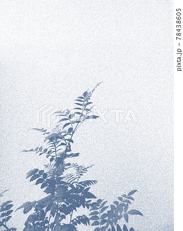 背景素材 ボタニカル シルエット 水彩風 背景素材 ボタニカル シルエット 水彩風 78438605