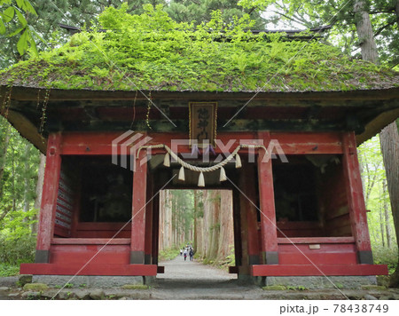 信州戸隠神社奥社随神門と杉並木 78438749
