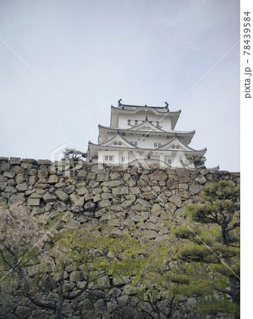 姫路城(2018年春4月) 姫路城(2018年春4月) 78439584