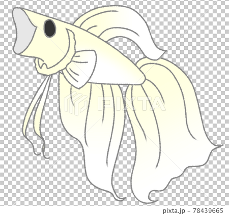 打哈欠固體（白色） 78439665