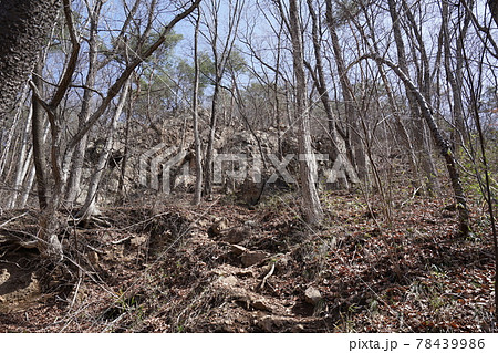 群馬県沼田市三角山の戸神山登山道 岩場コース 戸神鉱山コースを見上げる 群馬県沼田市三角山の戸神山登山道 岩場コース 戸神鉱山コースを見上げる 78439986