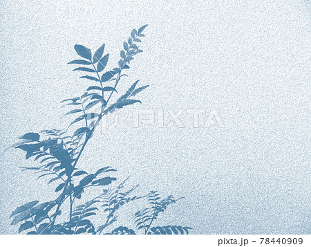 背景素材　ボタニカル　シルエット　水彩風 78440909